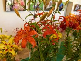 Foto: Dr. Peter Müller